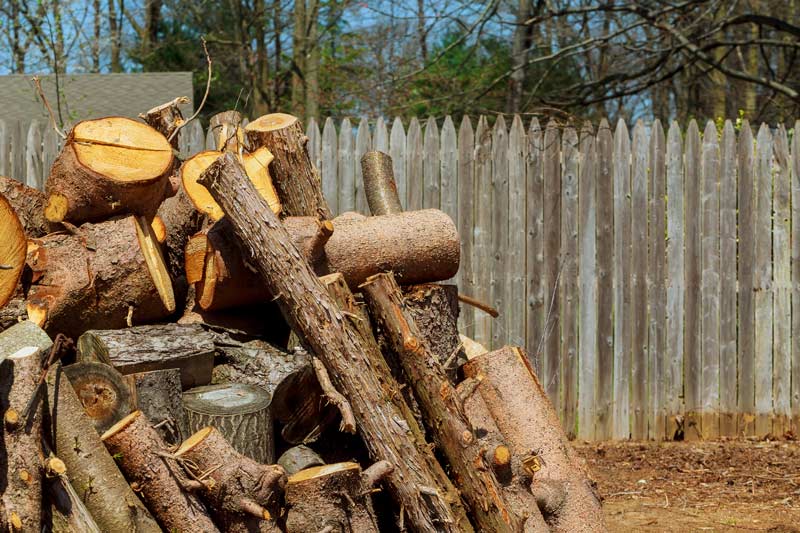 prix d'un stère de bois