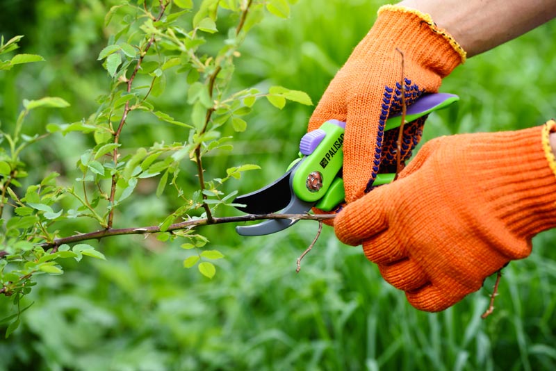 Quel travaux dans le jardin en octobre ?