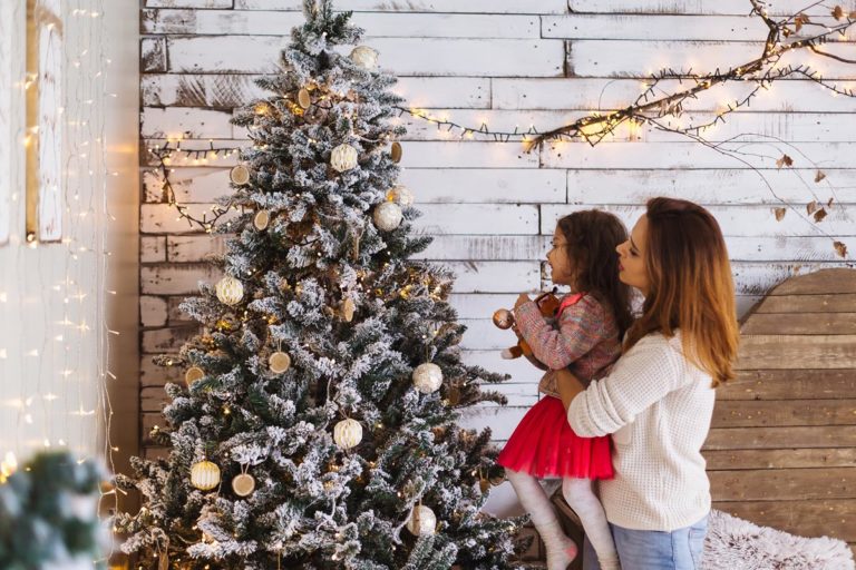 comment bien choisir son sapin de Noël ?