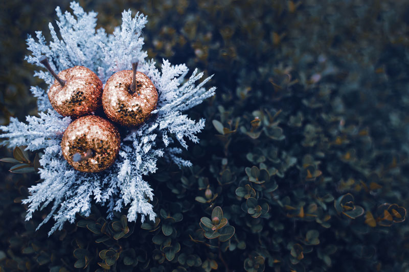 des fleurs et plantes pour une déco de Noël à l'extérieur de la maison