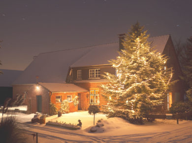 idées déco noel pour le jardin