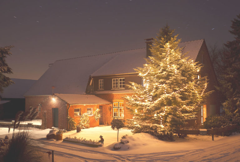 idées déco noel pour le jardin