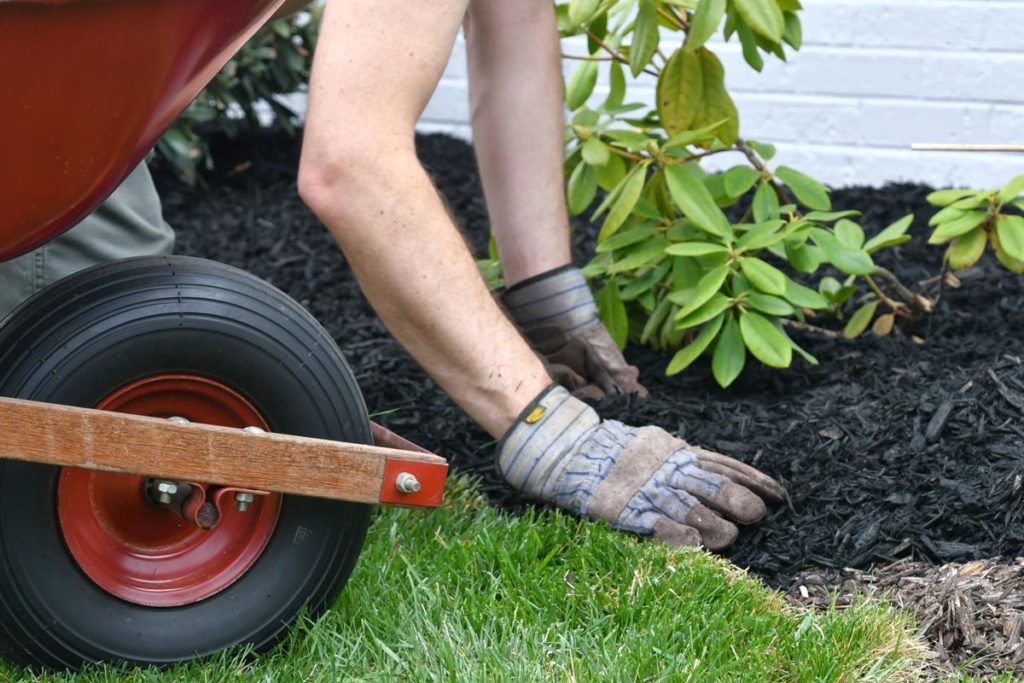 paillis d'ardoise pour votre jardin