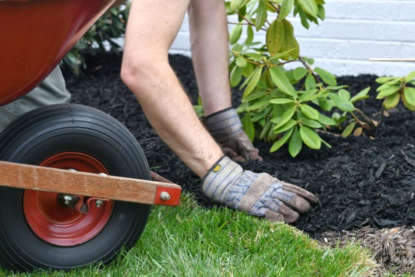 paillis d'ardoise pour votre jardin