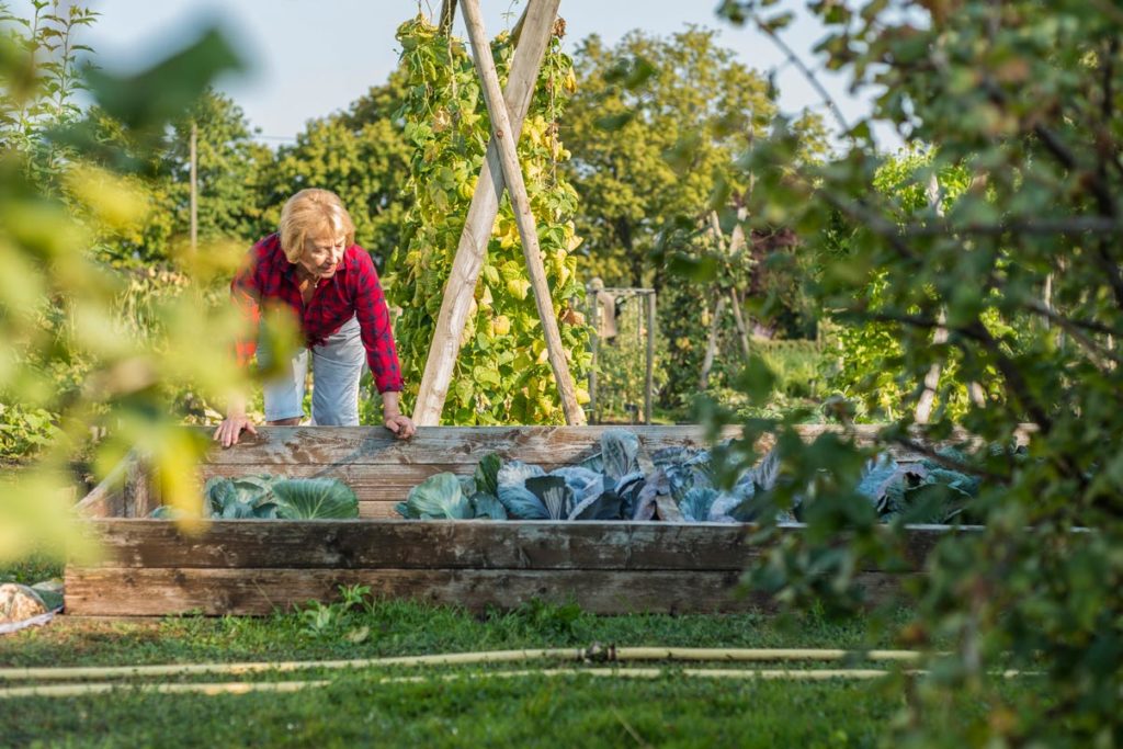 comment bien préparer votre carré potager à l'hiver ?