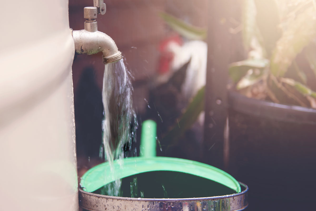 bien purger les tuyaux et robinets extérieurs pour le gel