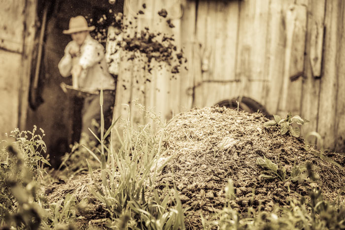 comment bien utiliser le fumier à cheval dans le jardin ?