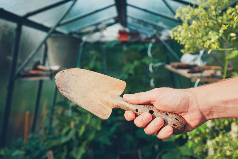 quels travaux faire dans le jardin en décembre ?