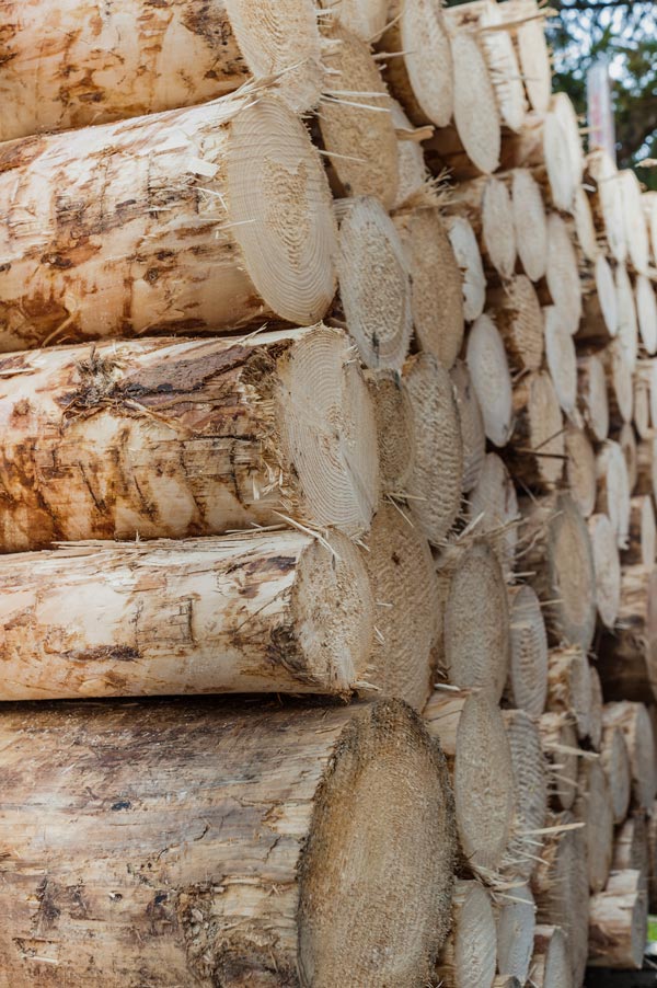 bien empiler le bois de chauffage à l'extérieur