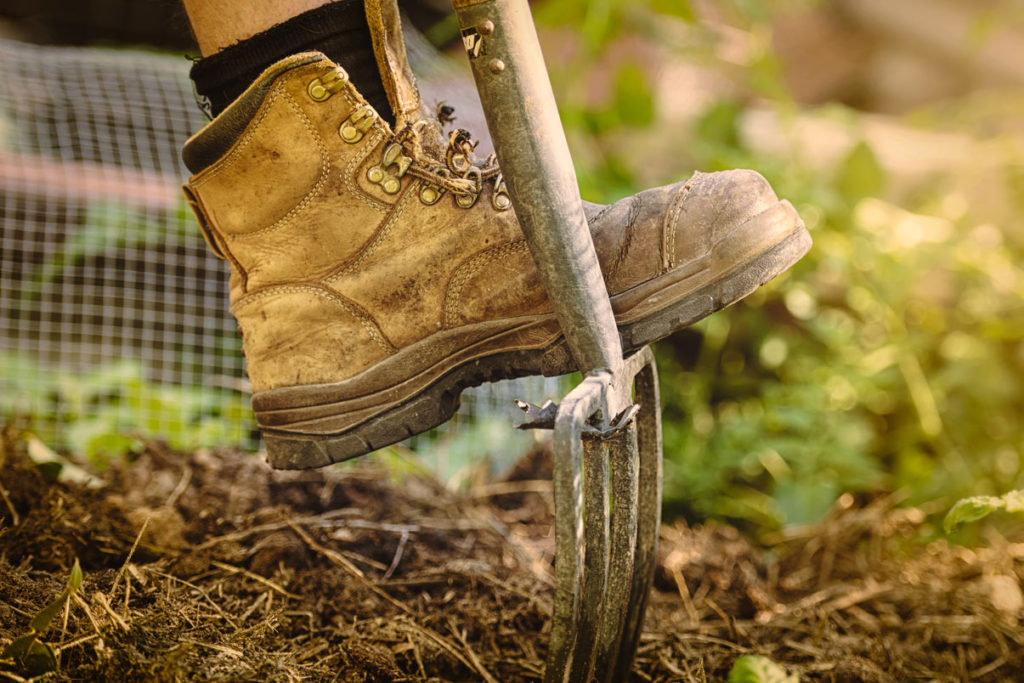 les travaux du jardin et du potager en décembre