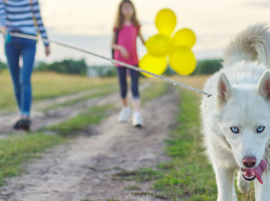 Chez Aldi Animaux et compagnie : les super promos à découvrir