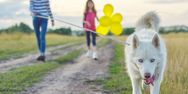 Chez Aldi Animaux et compagnie : les super promos à découvrir