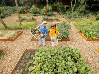 8 légumes à semer ou planter en mars et avril au potager