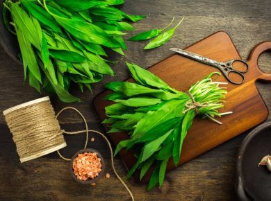 L'ail des ours : comment le planter ?