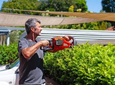 quelle amende si vous taillez les haies du jardin ?