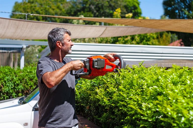 quelle amende si vous taillez les haies du jardin ?