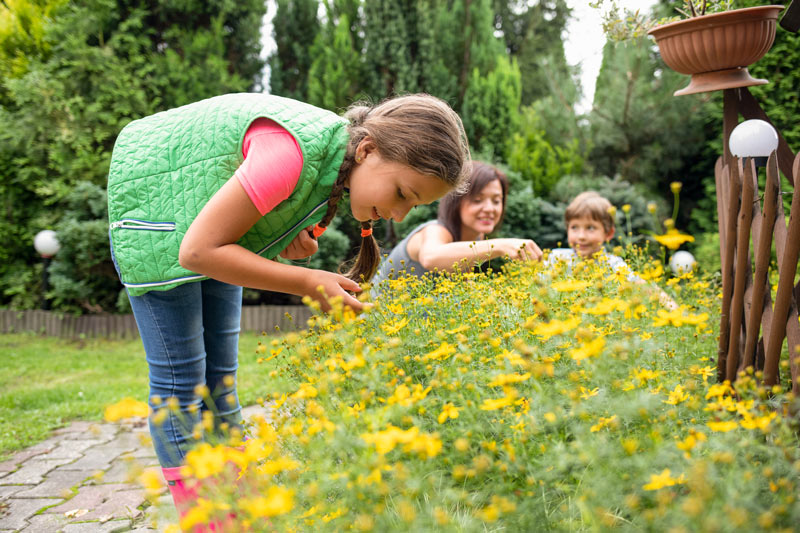 La découverte de la nature : à la rencontre de la biodiversité avec vos enfants