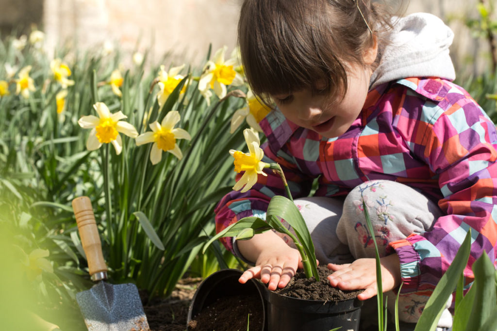 des activités DIY du potager à réaliser avec des enfants pendant les vacances de printemps