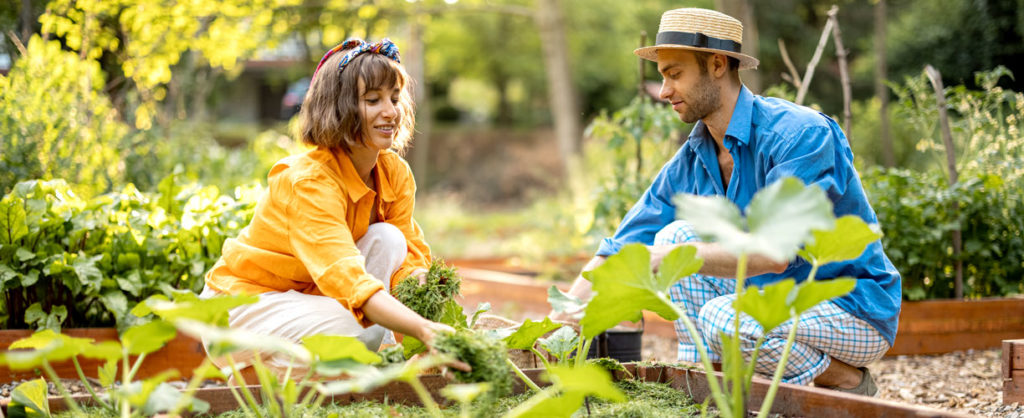 Jardinière pour votre balcon : mes conseils achat