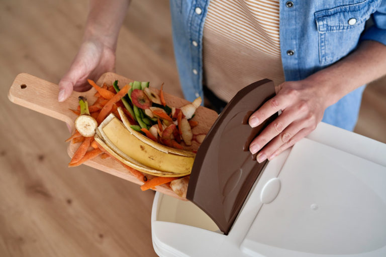 compost d'intérieur avec le bokashi