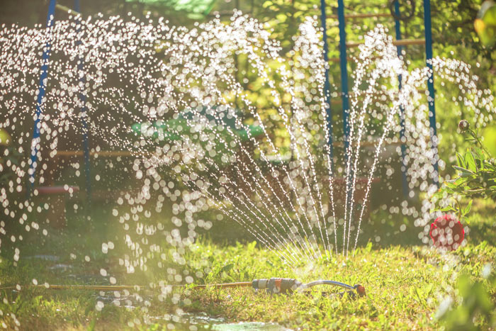 arrosage goutte à goutte gazon pour économiser de l'eau