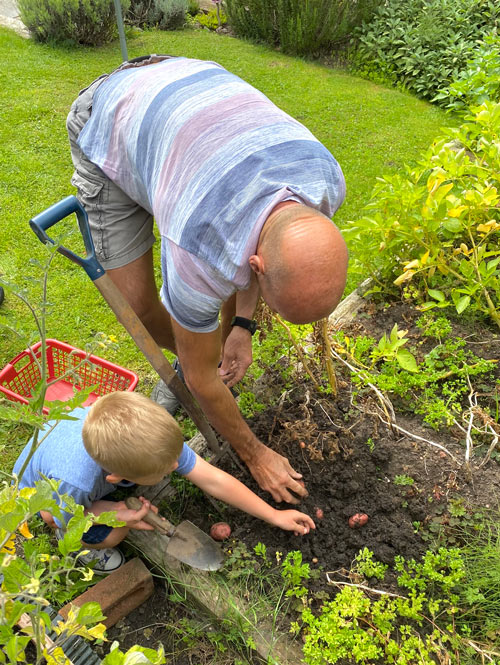 bien utiliser votre carré potager