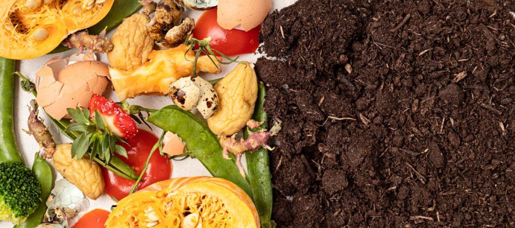 Mon compost sent mauvais : quelles sont les solutions ?