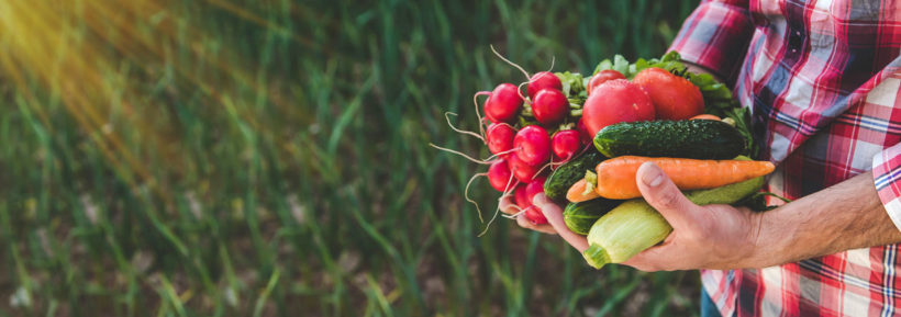 8 fruits et légumes à planter sur votre terrasse d'appartement en avril