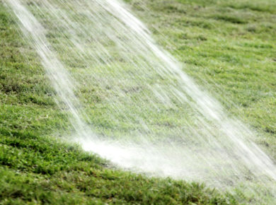 Sécheresse et manque d'eau : comment gérer votre gazon dans le jardin ?Existe-t-il un gazon résistant à la sécheresse ?
