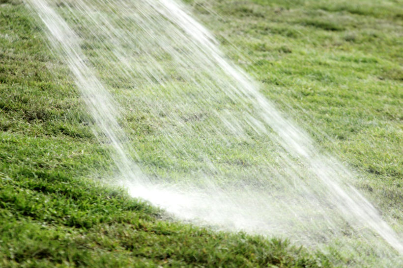 Sécheresse et manque d'eau : comment gérer votre gazon dans le jardin ?Existe-t-il un gazon résistant à la sécheresse ?