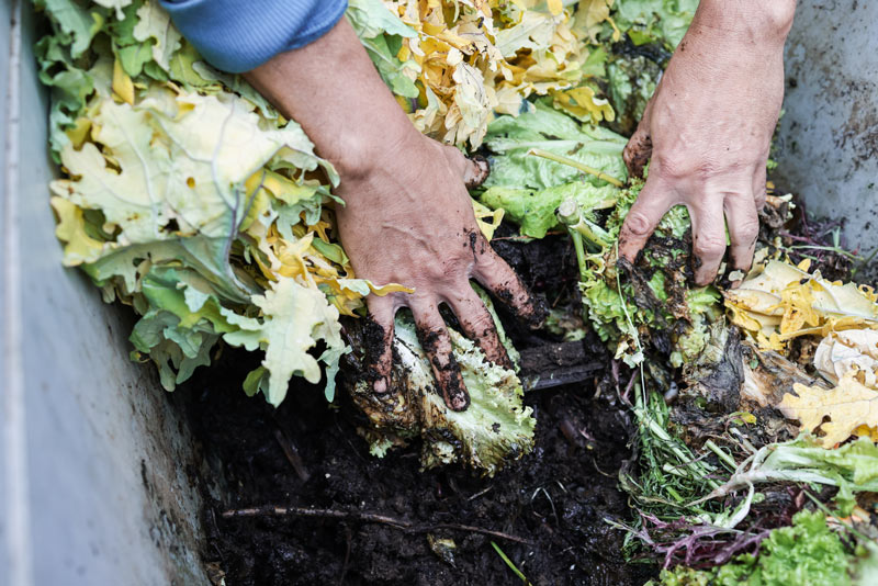 des conseils pratiques pour votre compostage du jardin rapide