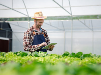 qu'est ce que le jardinage hydroponique ?