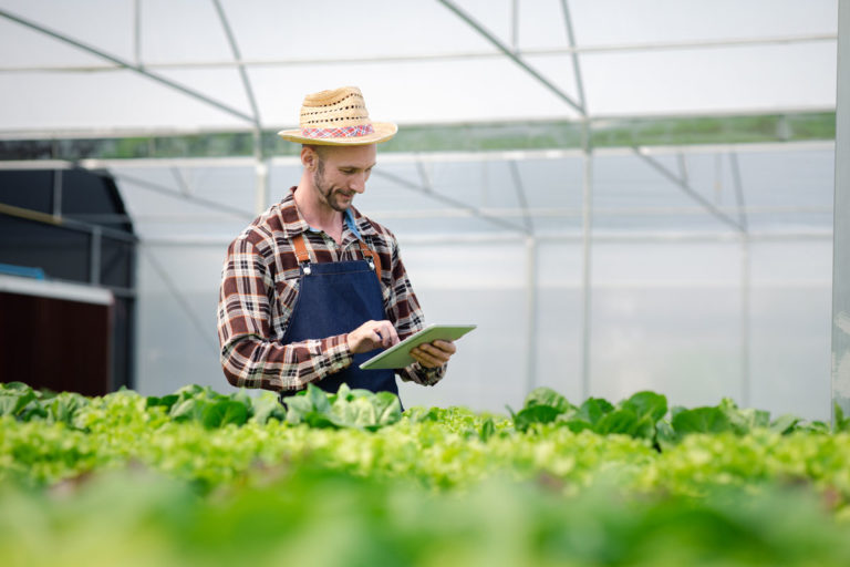 qu'est ce que le jardinage hydroponique ?