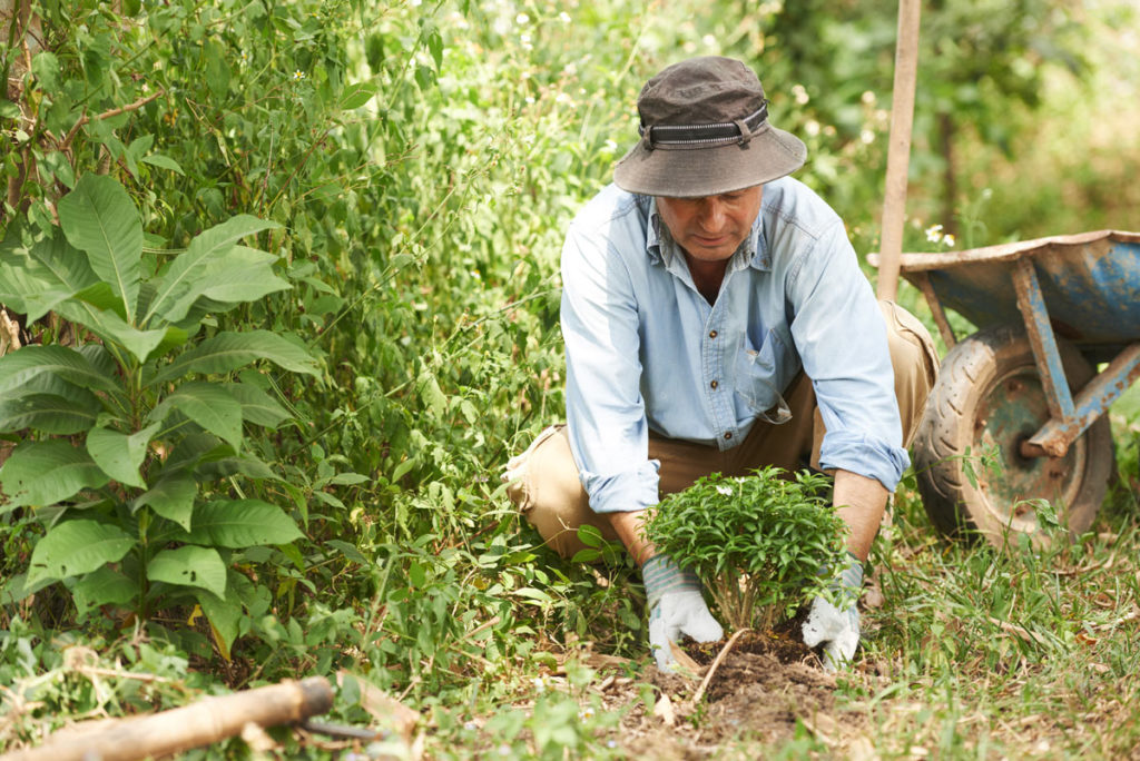 Pont de l'Ascension : que faire au jardin ?