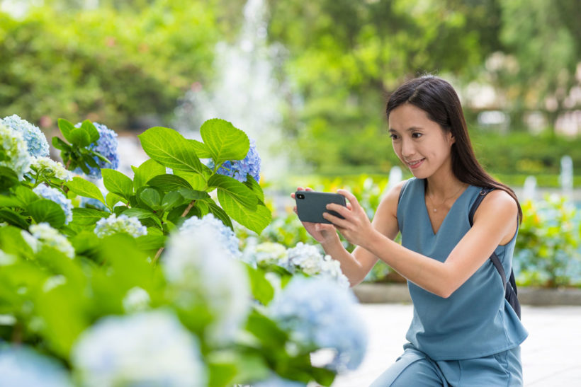 Les 5 meilleures applications de planification de jardin à essayer dès aujourd'hui