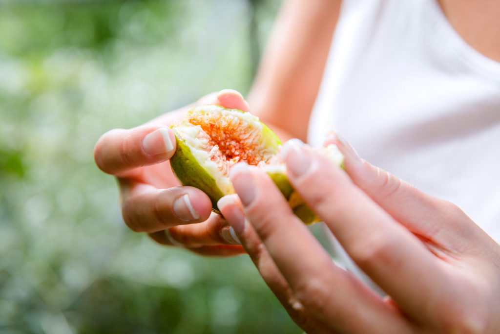 des fruits à cultiver en intérieur