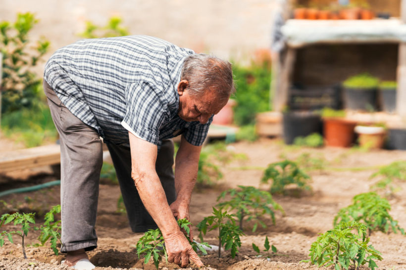 Comment ménager votre corps lors de vos séances de jardinage ?