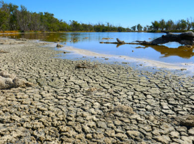 Sécheresse 2023 : comprendre le fonctionnement des nappes phréatiques