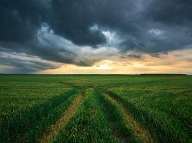 Le phénomène El Niño et son impact sur le climat en France : 5 informations clés
