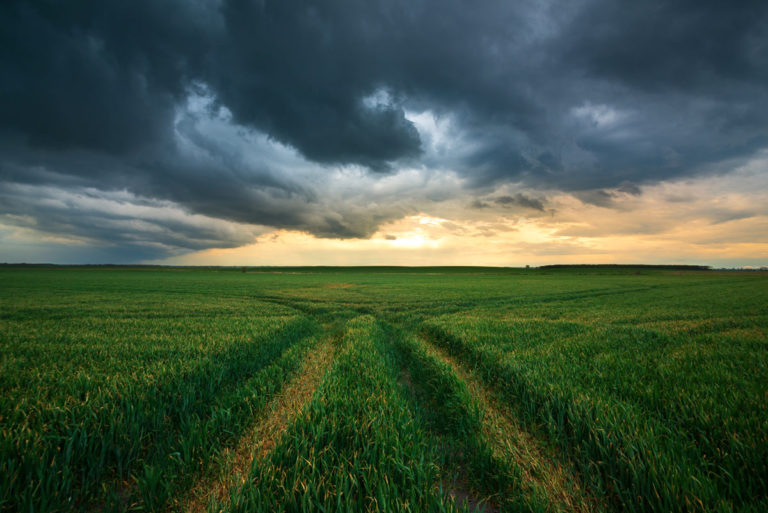 Le phénomène El Niño et son impact sur le climat en France : 5 informations clés