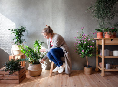 quelles plantes pour votre jardin zen d'intérieur ?