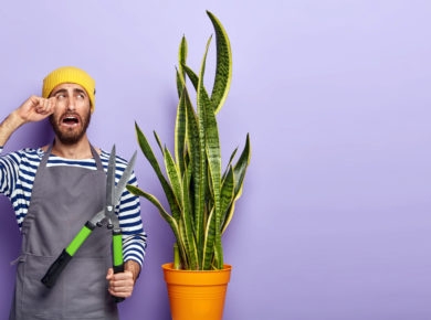 Comment sauver une plante trop arrosée en 9 étapes (ultra) simples