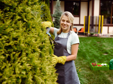 voici ce qu'il faut faire au jardin en juin