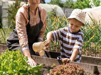Pourquoi vous devez planter des fleurs dans votre potager