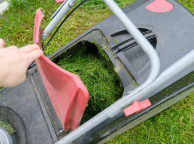 Que faire de l'herbe coupée après la tonte ?
