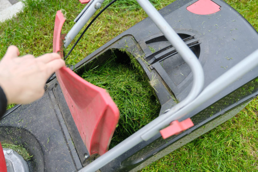 Que faire de l'herbe coupée après la tonte ?