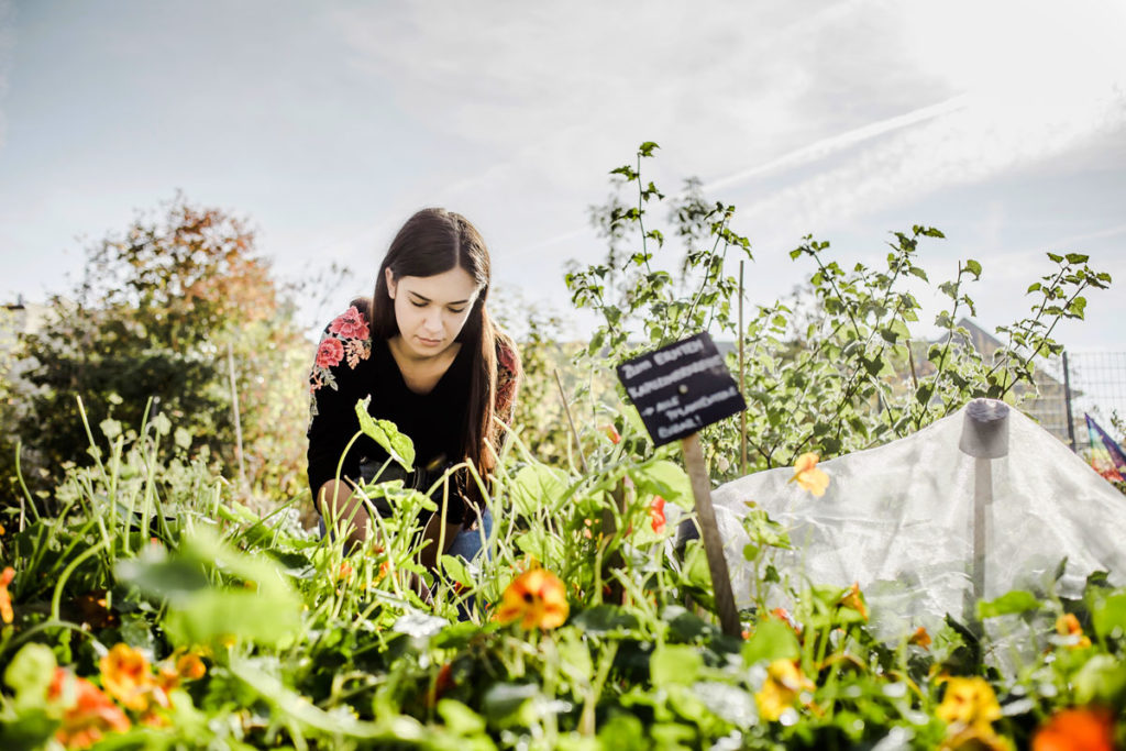 les tendances marquantes en jardinage pour 2023