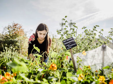 les tendances marquantes en jardinage pour 2023