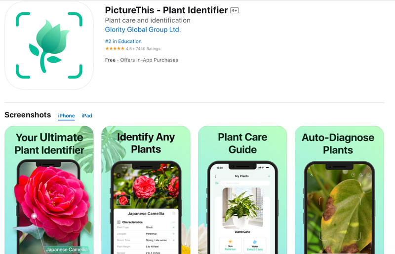 l'identificateur de plantes de PictureThis