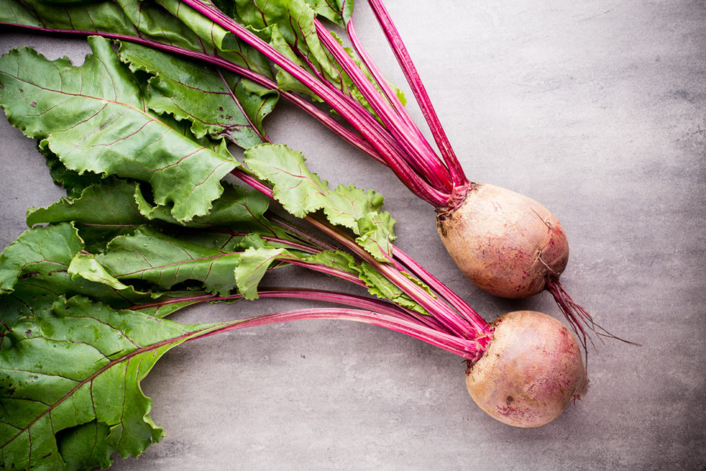 semer et récolter des betteraves du potager